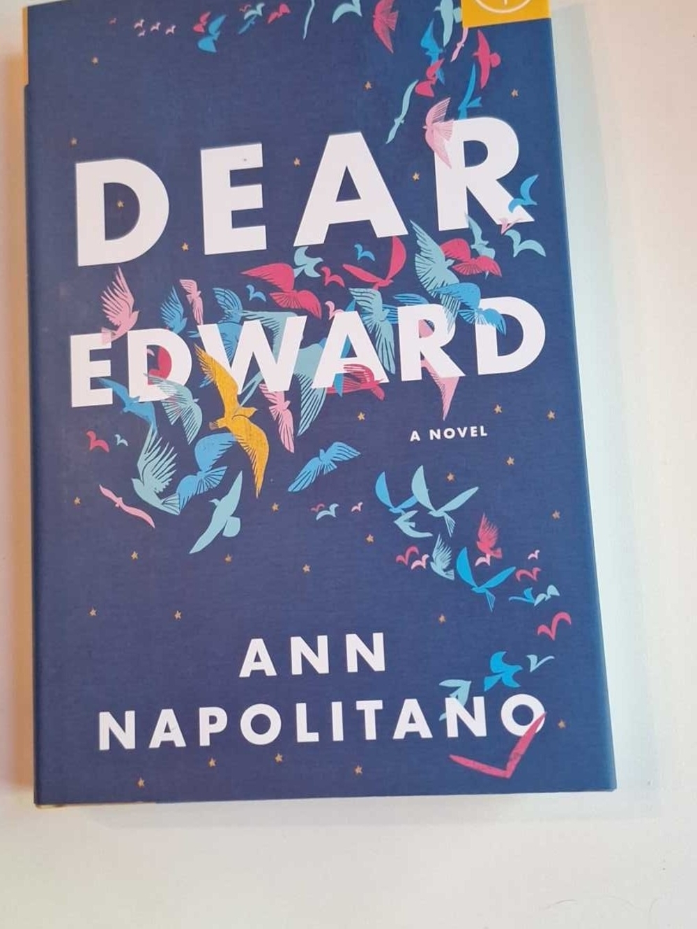 Dear Edward by Ann Napolitano